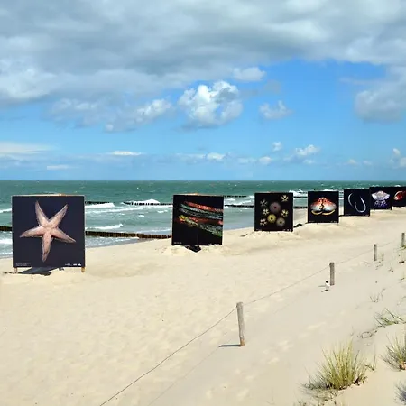 Ferienapartment Duenensand Direkt Am Kurstrand Lägenhet Zingst